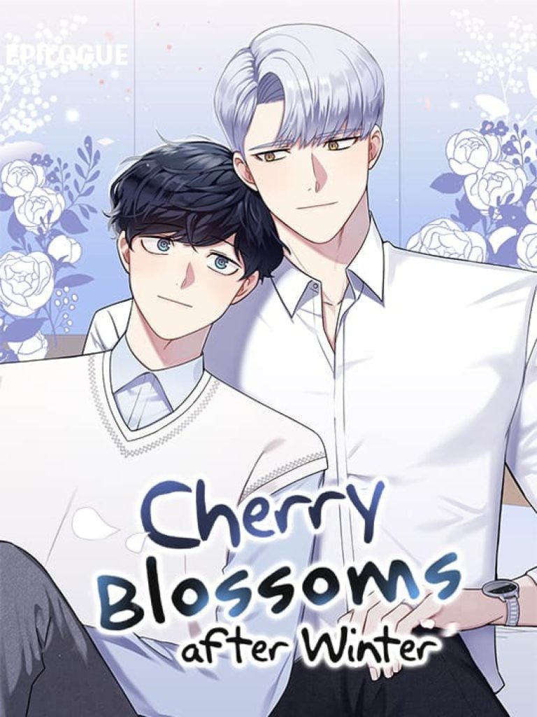 Cherry Blossoms After Winter
