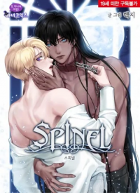 Spinel(baekji)