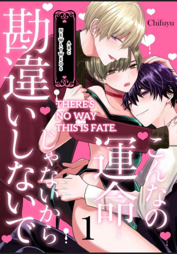 There’s No Way This Is Fate. -Newlyweds Arc-